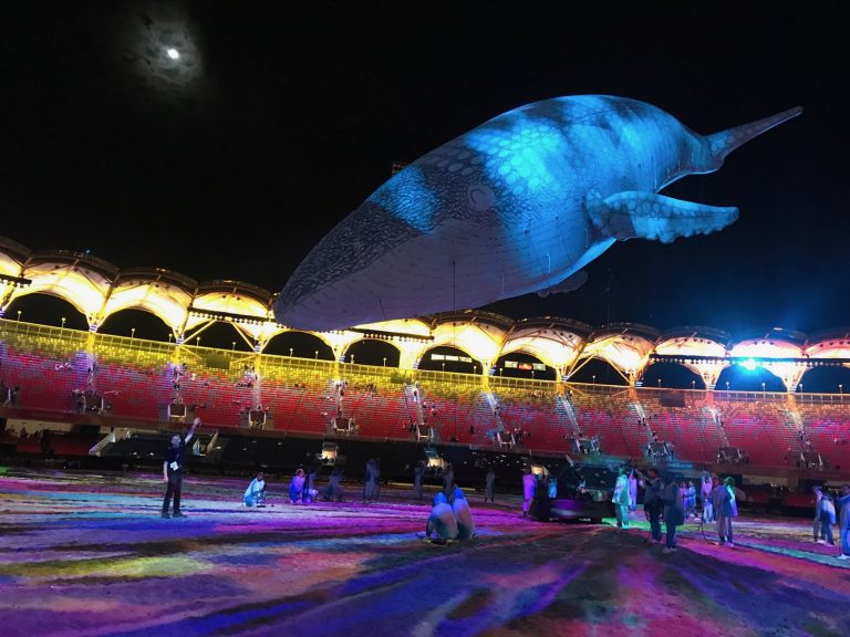 Whale - 8 of 8